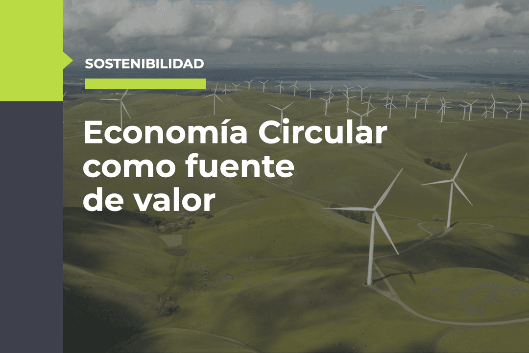 La economía circular 