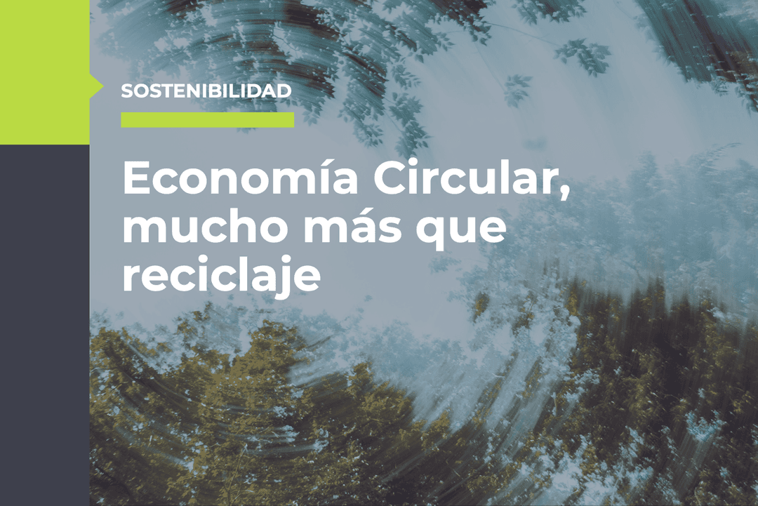Economía Circular, 