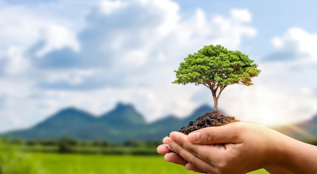 Reporte de Sostenibilidad